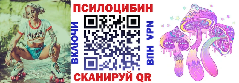 Псилоцибиновые грибы GOLDEN TEACHER  цена   Краснообск 